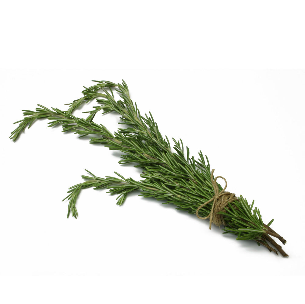 Bundle of fresh rosemary tied with twine