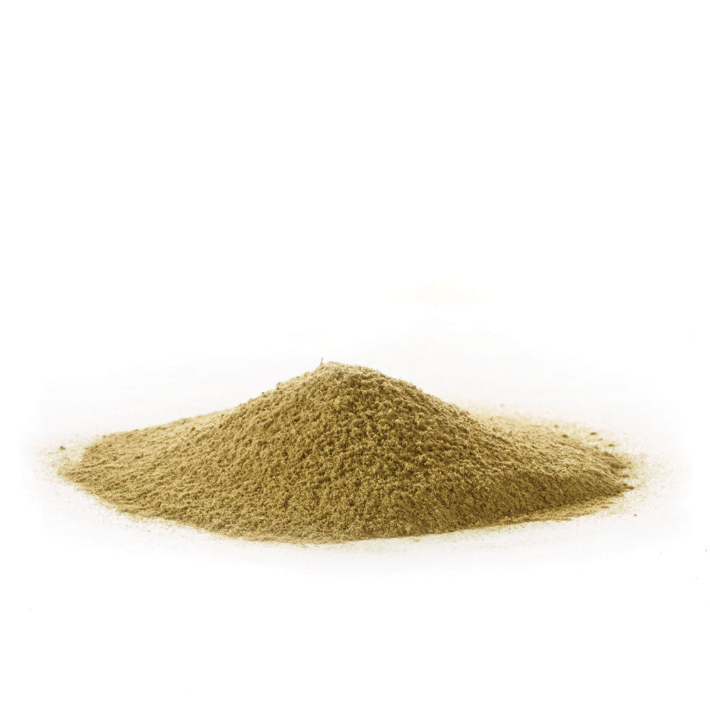 Pile of ground sage spice on white background