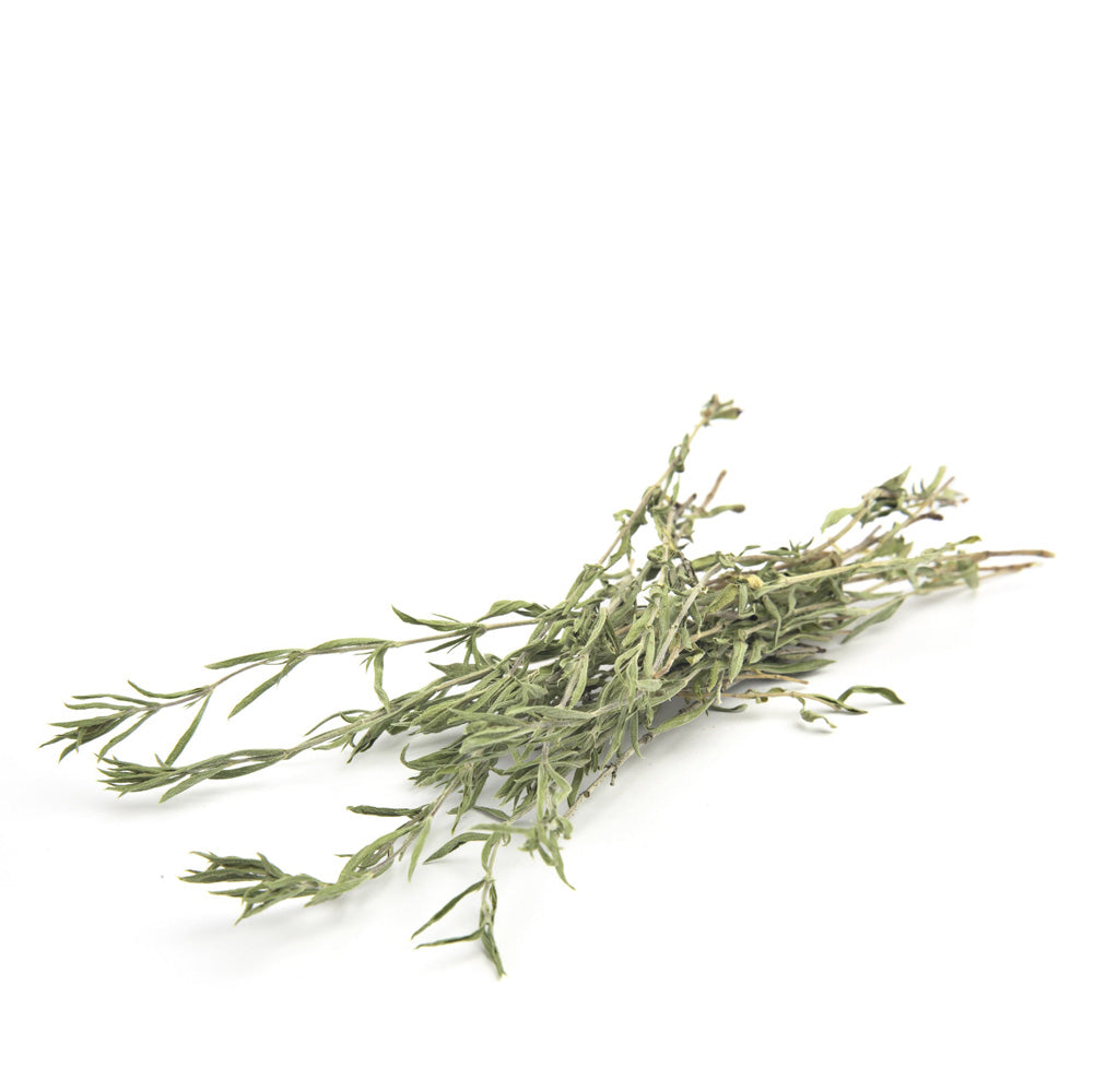 Bundle of fresh thyme sprigs on a white background.
