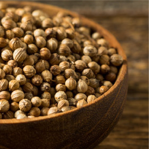 Close up of coriander seeds in a wooden bowl