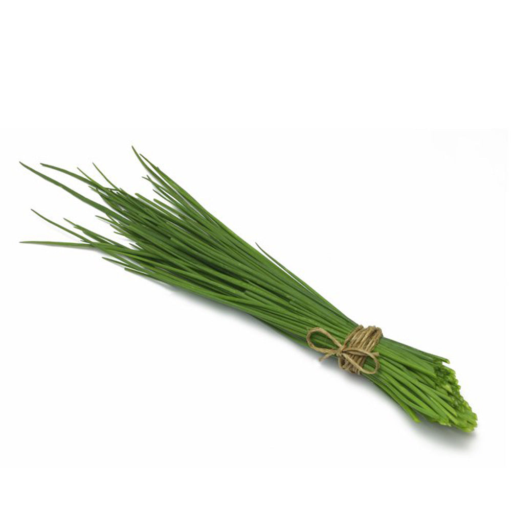 Bundle of fresh chives tied with twine