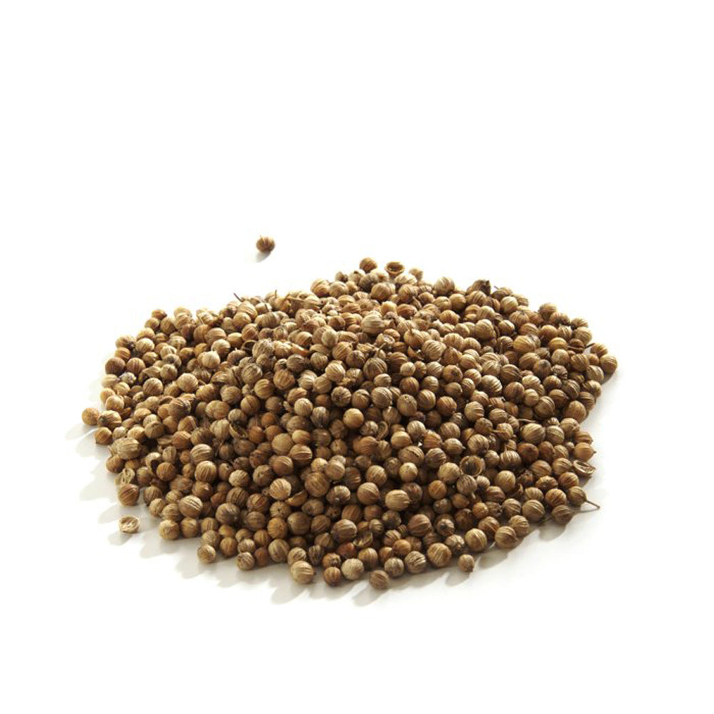 Pile of coriander seeds on a white background