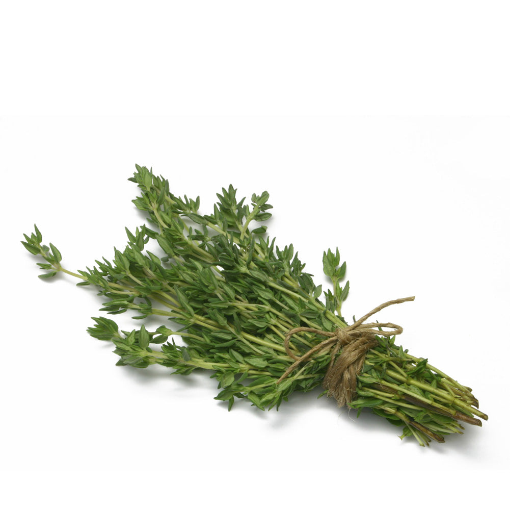 Bundle of fresh thyme sprigs tied with twine